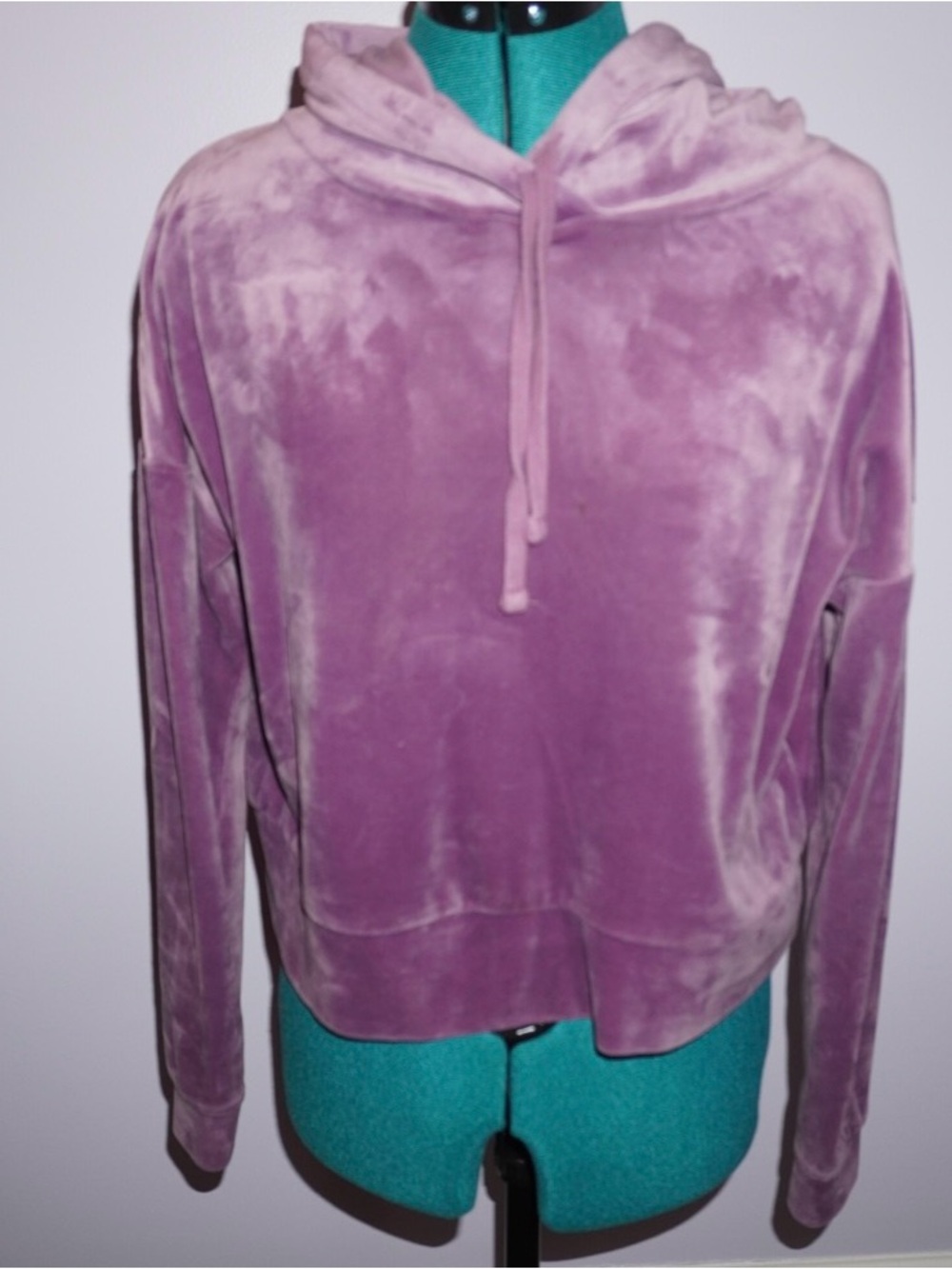 Plush Velvet Cropped Hoodie